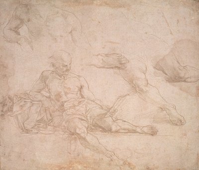 Studio per la figura di Diogene nella Scuola di Atene da Michelangelo Buonarroti